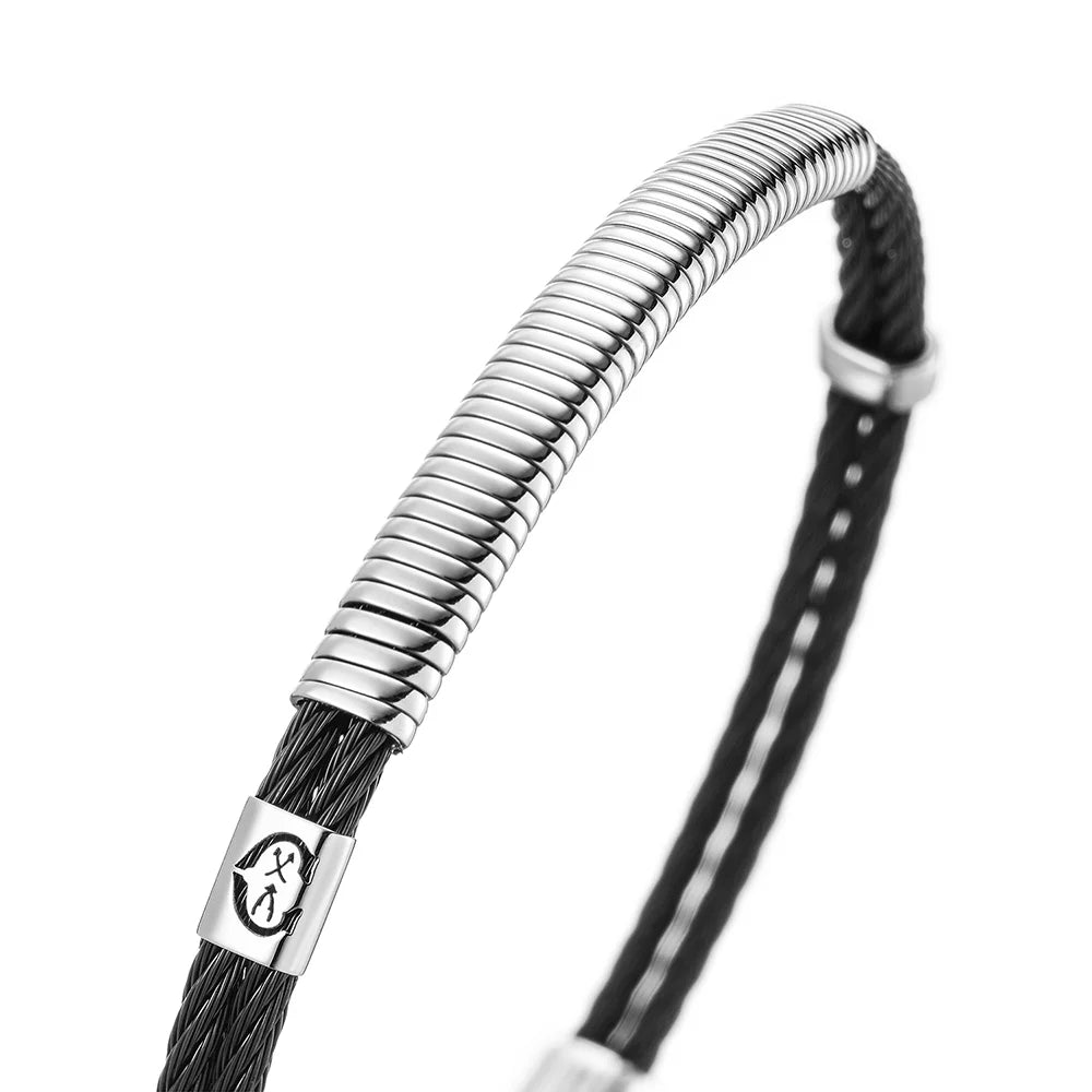 Schwarz_Metallplatte und Feder