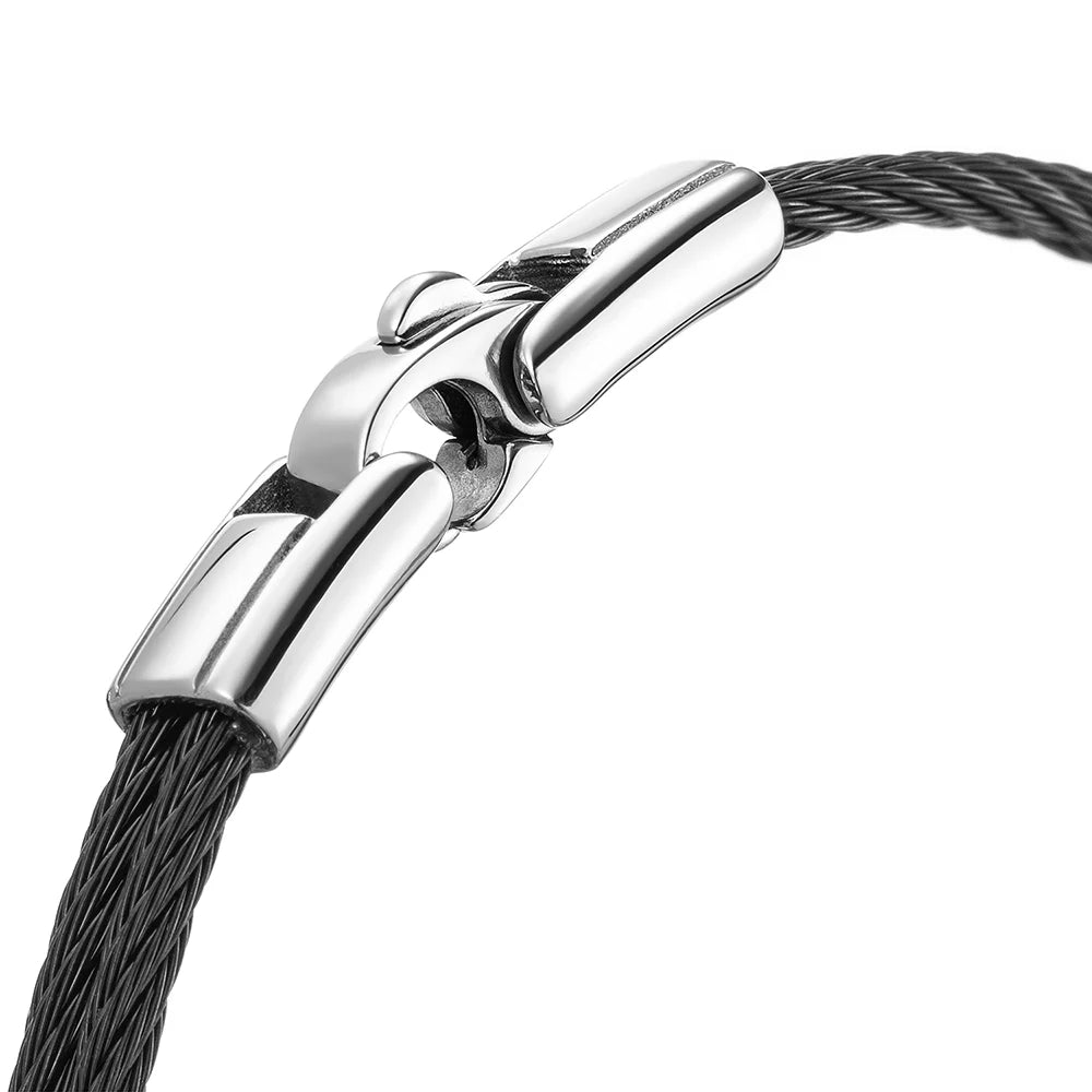 Schwarz_Metallplatte und Feder