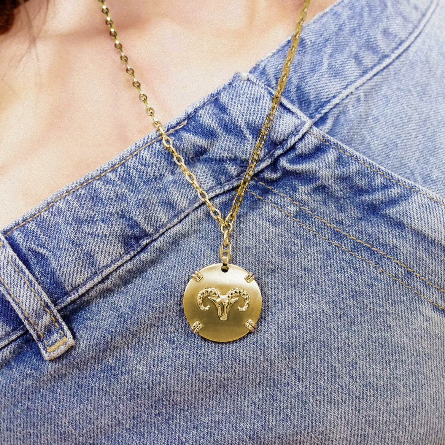 Gelbgold_Gold Widder_45cm bis 55cm