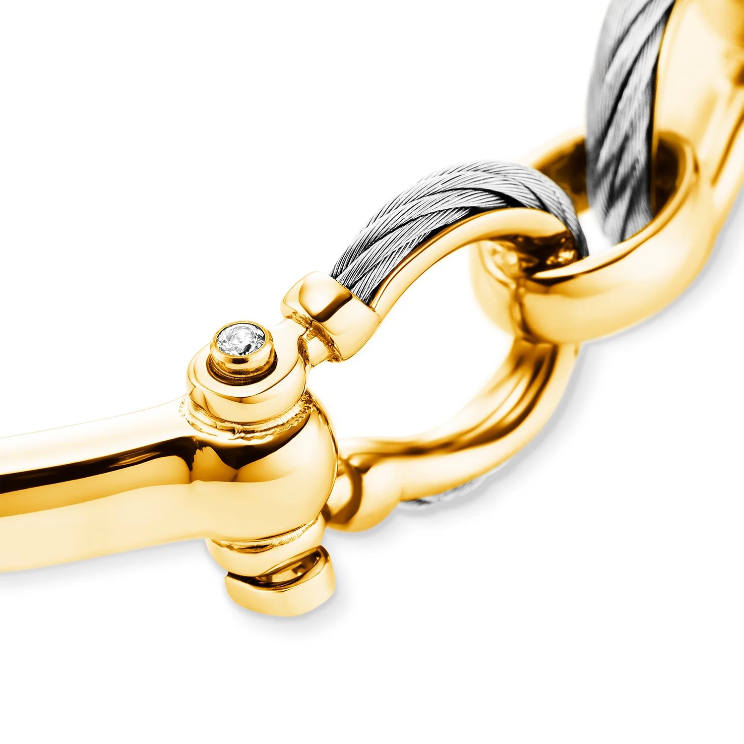 Gelber Gold_Steel