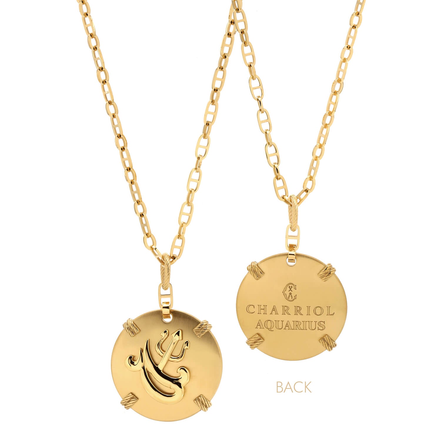 Gelbgold_Gold Aquarius_60cm bis 70cm