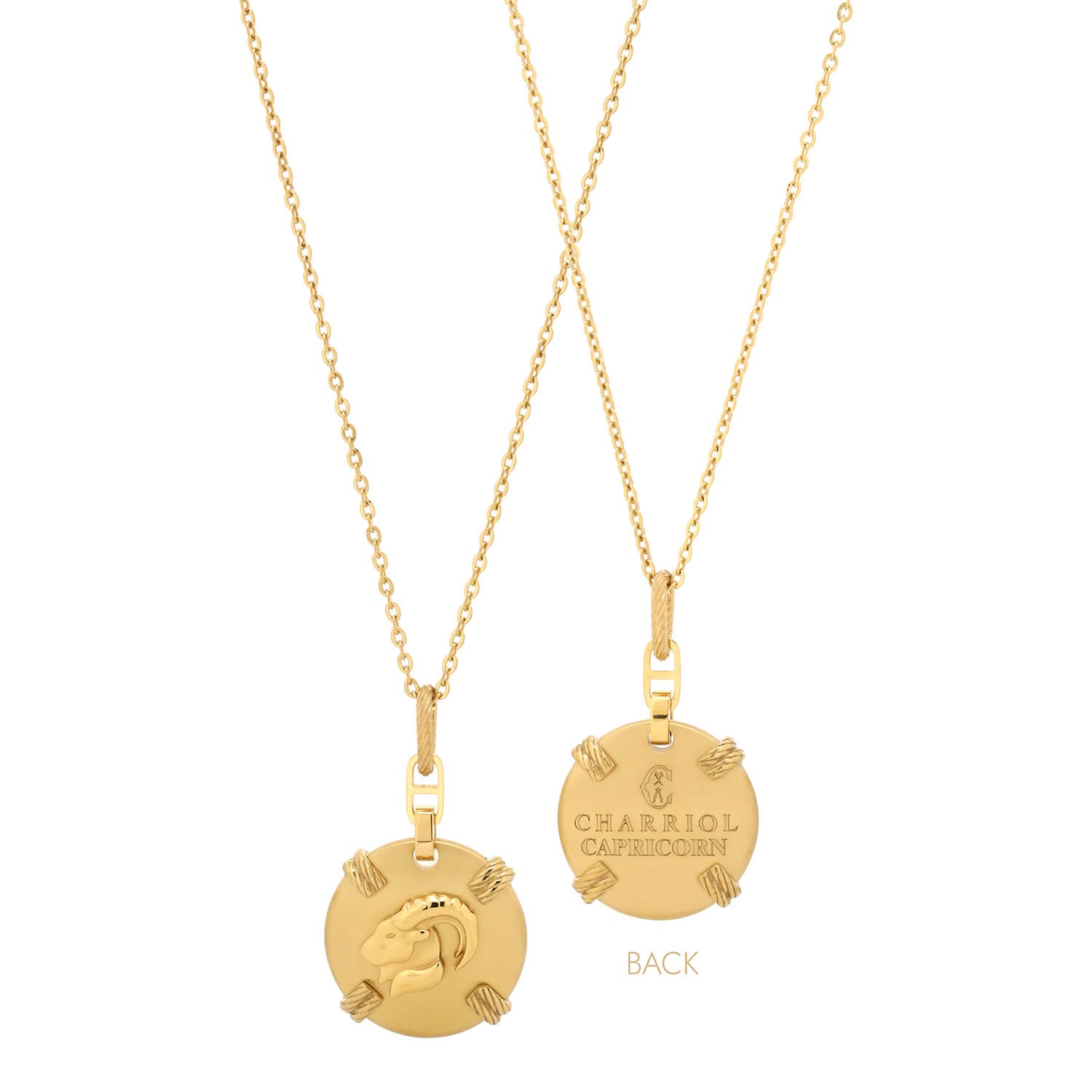 Gelbgold_Gold-Steinbock_45cm bis 55cm