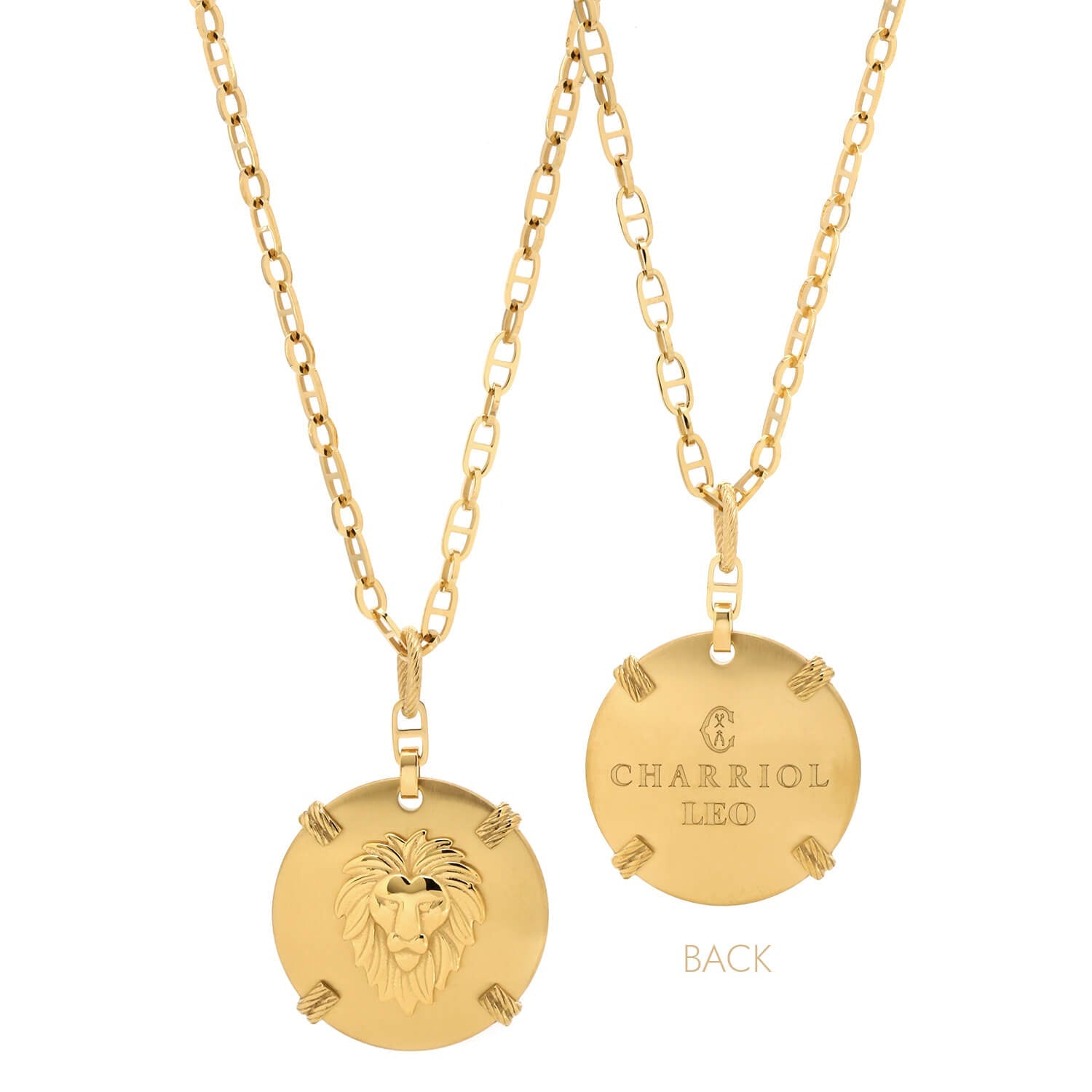 Gelbgold_Gold Leo_60cm bis 70cm