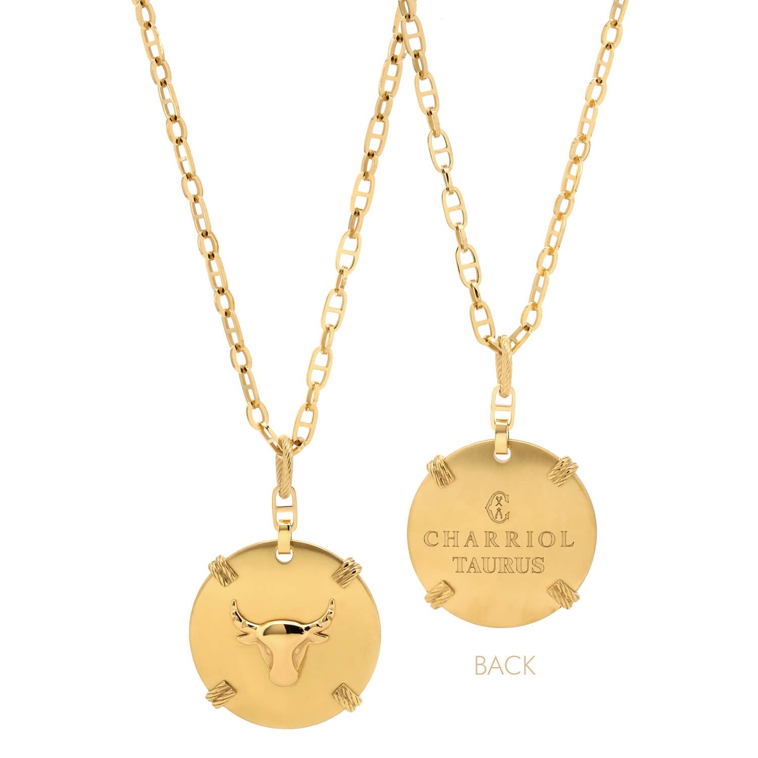 Gelbgold_Gold Taurus_60cm bis 70cm