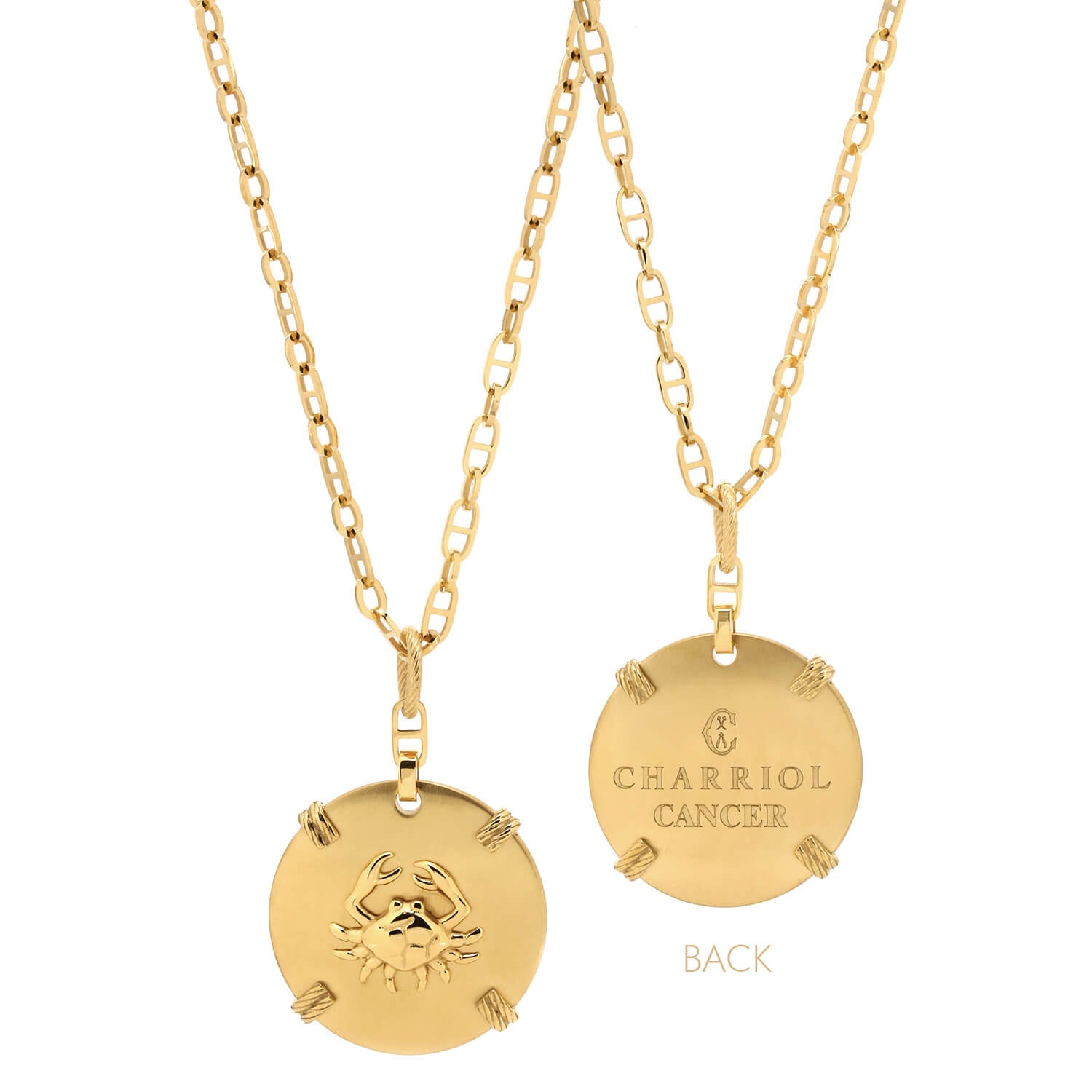 Gelbgold_Goldkrebs_60cm bis 70cm