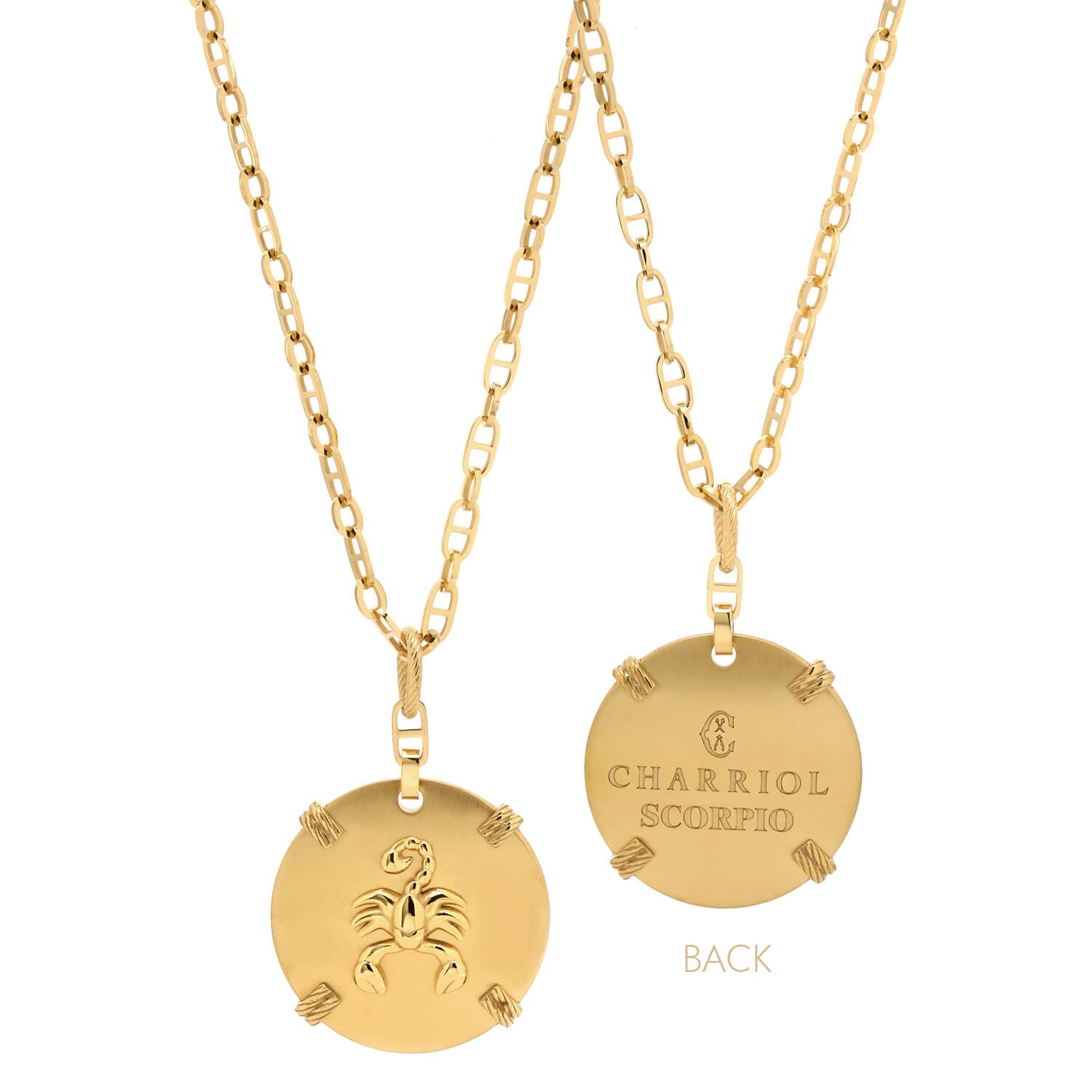 Gelbgold_Gold Skorpion_60cm bis 70cm 