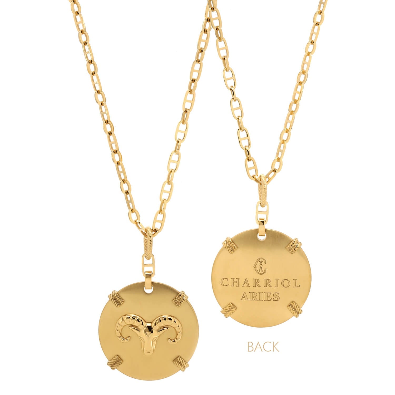 Gelbgold_Gold Widder_60cm bis 70cm